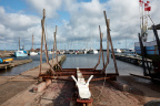 Havnsø