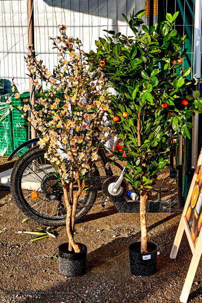 aarhus food festival 2019 13987 IMG 7769