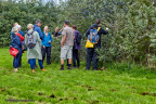 sanketur med wildfooding 11002 aarhus food festival 2018 3599 IMG 1810 