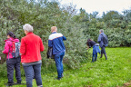 sanketur med wildfooding 11004 aarhus food festival 2018 3601 IMG 1812 