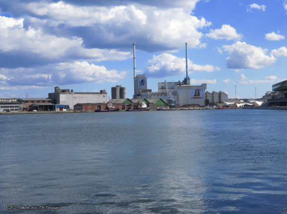 aarhus havn maj 2019 IMG 0671 16751