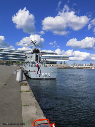 aarhus havn maj 2019 IMG 0678 16757