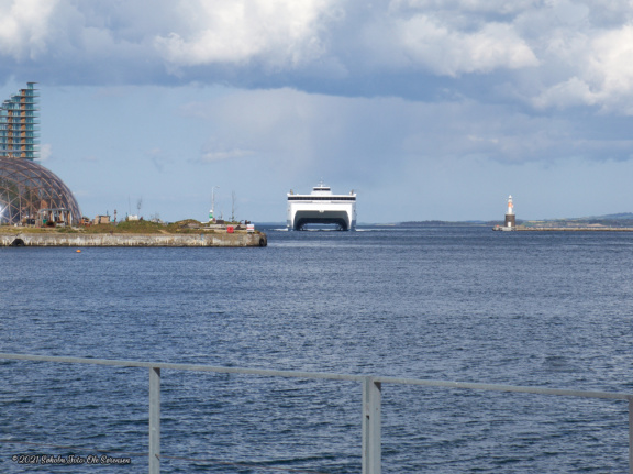 aarhus havn maj 2019 IMG 0692 16771