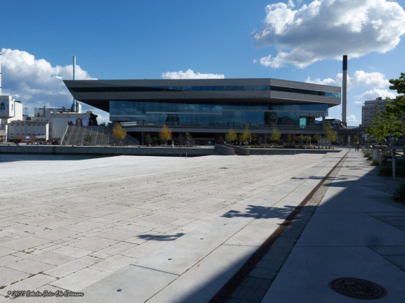 aarhus havn maj 2019 IMG 0698 16777