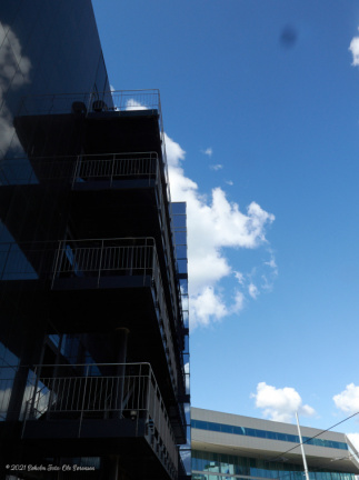 aarhus havn maj 2019 IMG 0713 16792