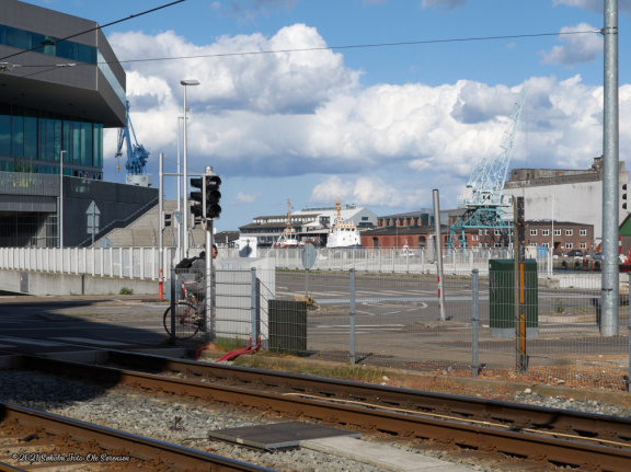 aarhus havn maj 2019 IMG 0714 16793