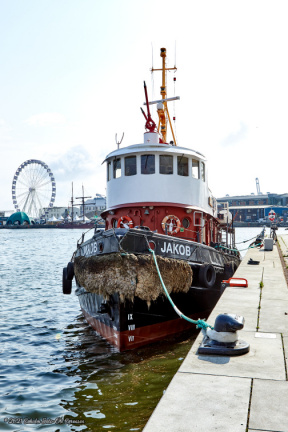 aarhus havn juli 2019 IMG 3526 16638