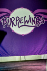 horsens purplewings 20980 IMG 0498