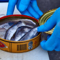 kystpromenaden food week clausens fiskehandel åbning surstrøm 23176 IMG 1719