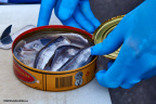 kystpromenaden food week clausens fiskehandel åbning surstrøm 23176 IMG 1719