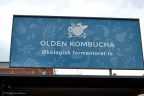 Olden Kombucha
