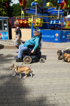 noahs tivoli friheden hundens dag 2017 24842 IMG 0654