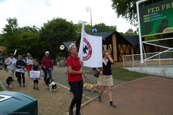 noahs tivoli friheden hundens dag 2017 24848 IMG 0661