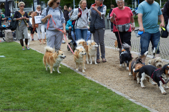 noahs tivoli friheden hundens dag 2017 24850 IMG 0663
