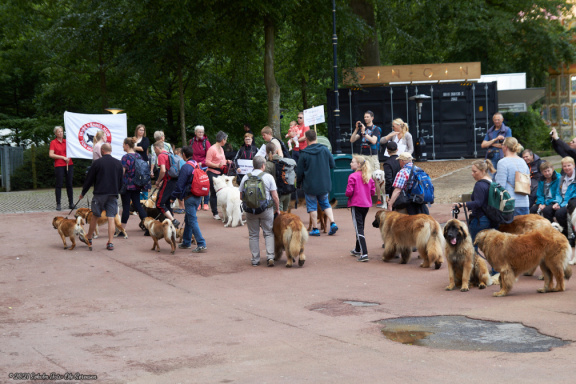 noahs tivoli friheden hundens dag 2017 24851 IMG 0664