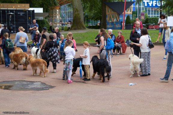 noahs tivoli friheden hundens dag 2017 24852 IMG 0665