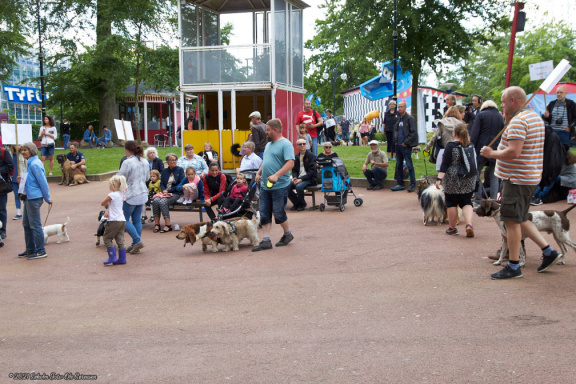 noahs tivoli friheden hundens dag 2017 24853 IMG 0666