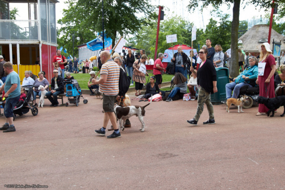 noahs tivoli friheden hundens dag 2017 24854 IMG 0667
