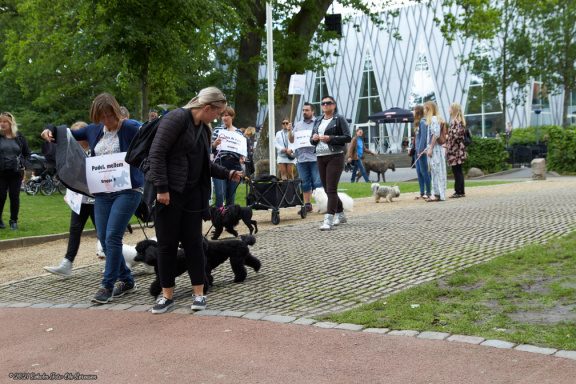 noahs tivoli friheden hundens dag 2017 24855 IMG 0668