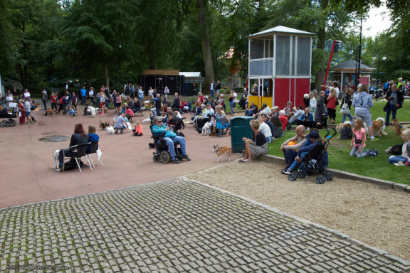 noahs tivoli friheden hundens dag 2017 24858 IMG 0672
