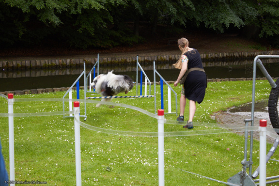 noahs tivoli friheden hundens dag 2017 24865 IMG 0694