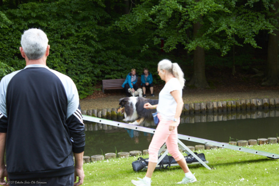 noahs tivoli friheden hundens dag 2017 24868 IMG 0699