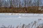 vinter egå engsø frosset til 2010 25311 egå engsø frosset til 2010-02-21 0001 (15)
