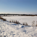 vinter egå engsø frosset til 2010 25323 egå engsø frosset til 2010-02-21 0001 (27)