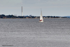 Sailing Aarhus Week 2020