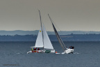 sailing aarhus week 2020 IMG 1368 37716