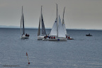 sailing aarhus week 2020 IMG 1374 37720