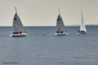 sailing aarhus week 2020 IMG 1375 37721