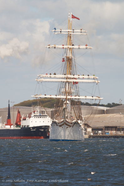 Aalborg Tall Ship race 2 juli 2019  09829 DSC02453 
