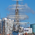 Aalborg Tall Ship race 2 juli 2019  09838 DSC02462 