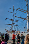 Aalborg Tall Ship race 2 juli 2019  09882 DSC05684 