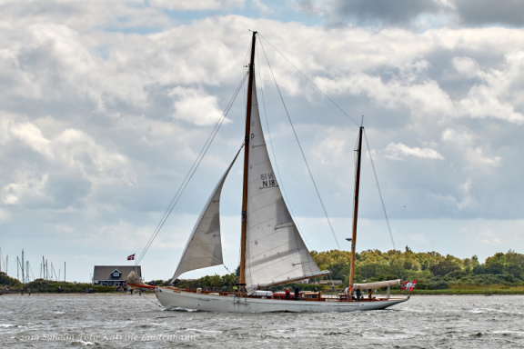 Aalborg Tall Ship race 2 juli 2019  09908 DSC02470 