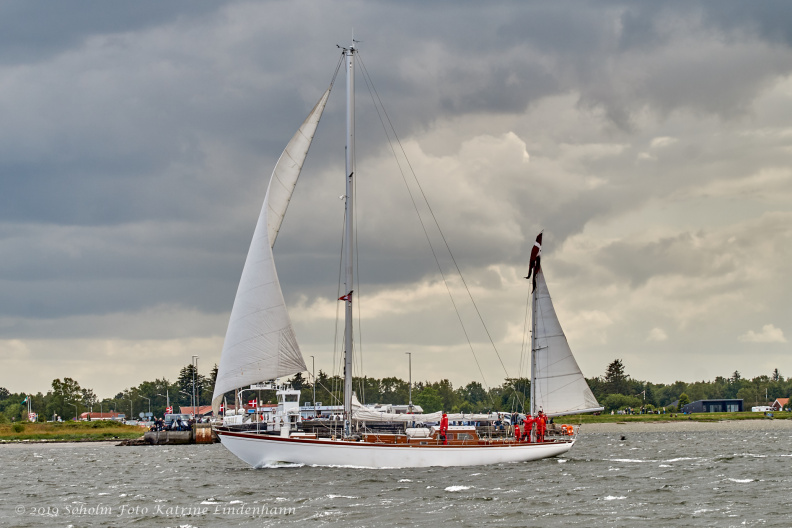 Aalborg Tall Ship race 2 juli 2019  09917 DSC02481 