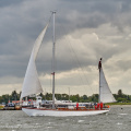 Aalborg Tall Ship race 2 juli 2019  09917 DSC02481 