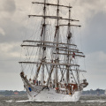 Aalborg Tall Ship race 2 juli 2019  09920 DSC02485 