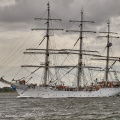 Aalborg Tall Ship race 2 juli 2019  09924 DSC02489 