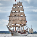 Aalborg Tall Ship race 2 juli 2019  09931 DSC02496 
