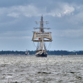 Aalborg Tall Ship race 2 juli 2019  09933 DSC02498 