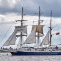 Aalborg Tall Ship race 2 juli 2019  09943 DSC02509 