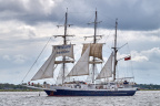 Aalborg Tall Ship race 2 juli 2019  09943 DSC02509 