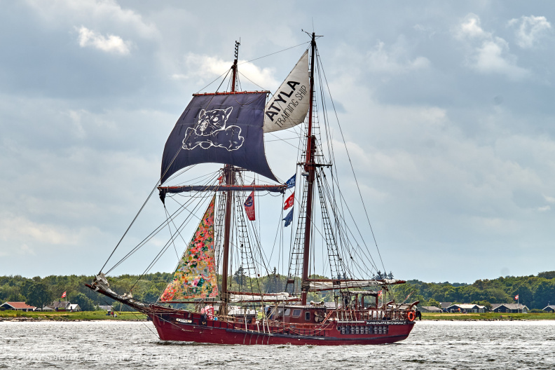 Aalborg Tall Ship race 2 juli 2019 _09960_DSC02529 .jpg