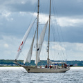 Aalborg Tall Ship race 2 juli 2019  09964 DSC02533 