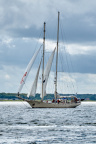 Aalborg Tall Ship race 2 juli 2019  09964 DSC02533 