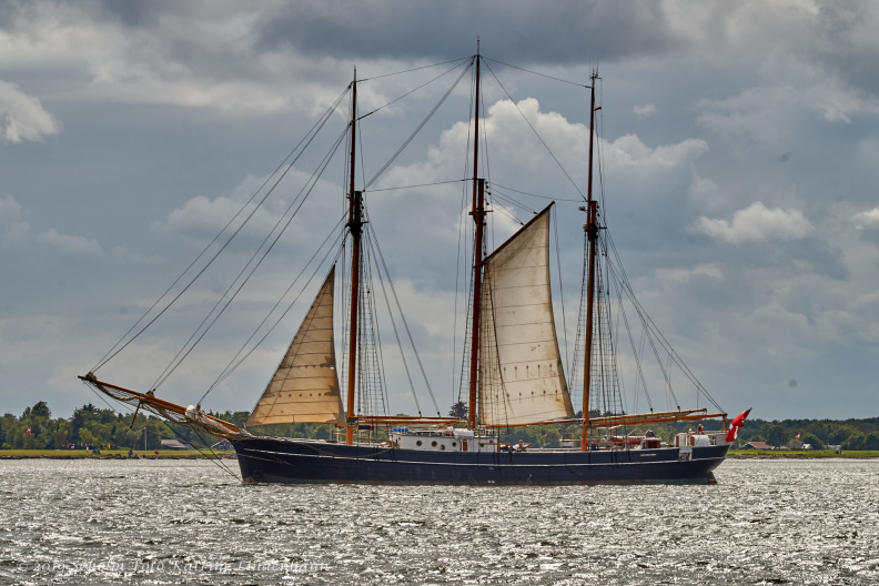 Aalborg Tall Ship race 2 juli 2019 _09974_DSC02544 .jpg
