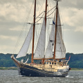Aalborg Tall Ship race 2 juli 2019  09991 DSC02561 