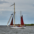 Aalborg Tall Ship race 2 juli 2019  09999 DSC02569 